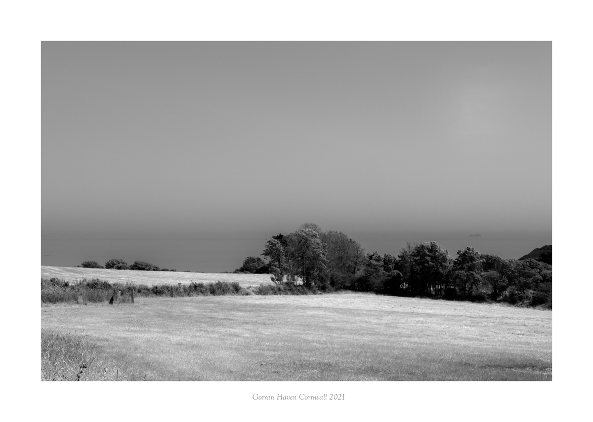 Trelispen (5 of 7)-Edit-2
