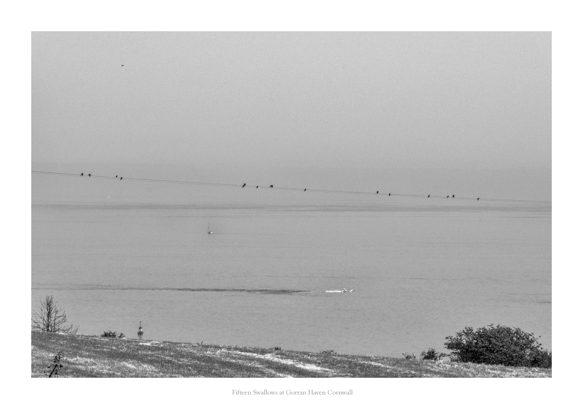 Trelispen (6 of 7)-Edit