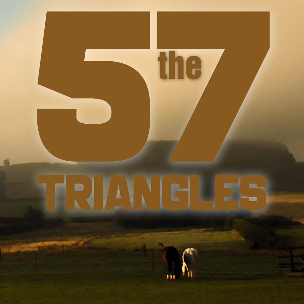 The 57 Triangles